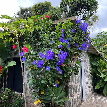 Recanto Das Mangueiras Ilhabela Dış mekan fotoğraf