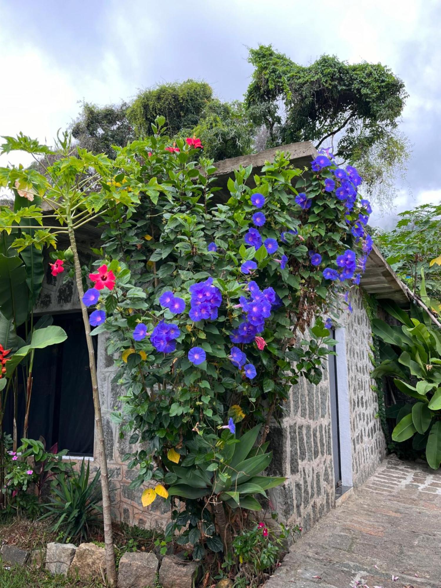 Recanto Das Mangueiras Ilhabela Dış mekan fotoğraf